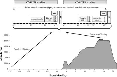 MEDEX 2015: Prophylactic Effects of Positive Expiratory Pressure in Trekkers at Very High Altitude